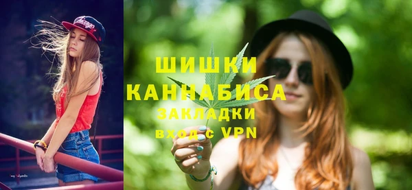 Альфа ПВП Аркадак