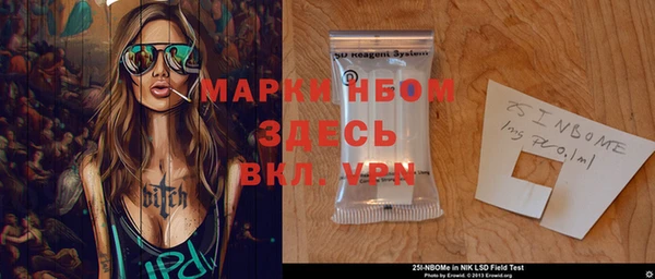 хмурый Няндома