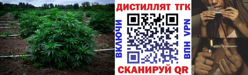 Дистиллят ТГК Wax  Бабаево 