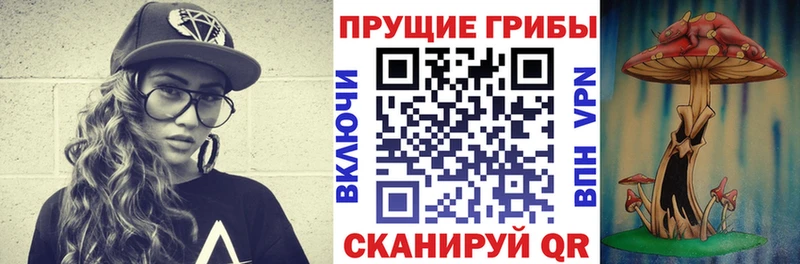 купить блэк спрут ССЫЛКА Галлюциногенные грибы Psilocybe Бабаево